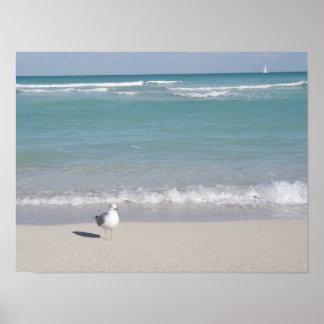 Vogel op het strand poster