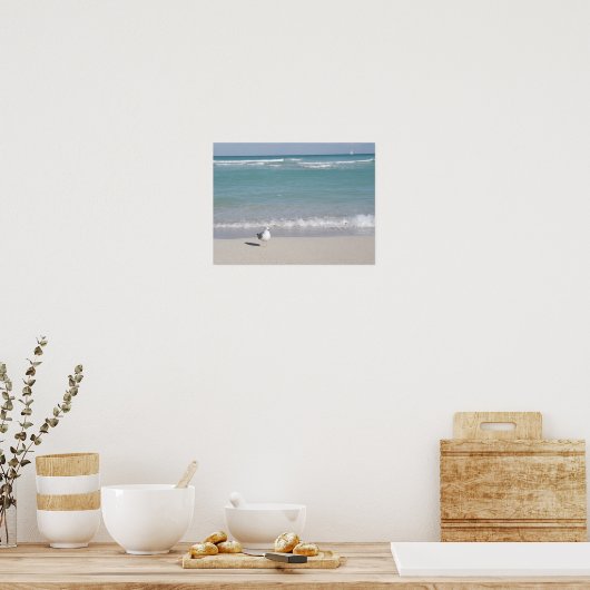 Vogel op het strand poster (Keuken)