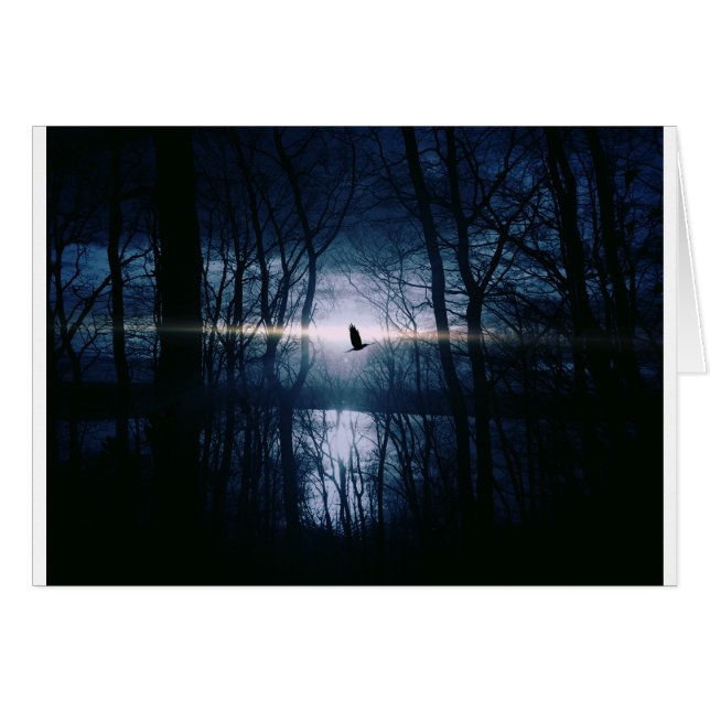 Vogel op maanlicht (Voorkant Horizontaal)