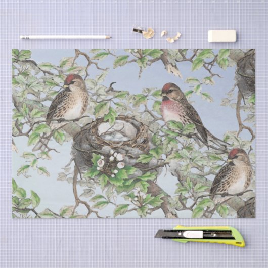 Vogel op nestblauwe hemelbomen laat ontkoppelingsb tissuepapier (Craft)