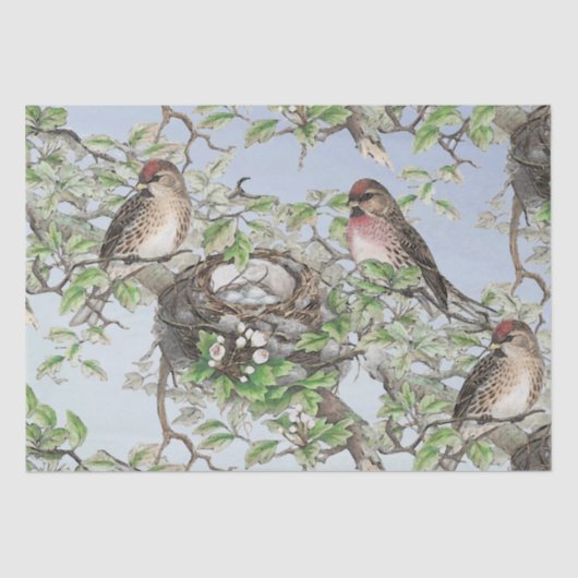 Vogel op nestblauwe hemelbomen laat ontkoppelingsb tissuepapier (Voorkant)