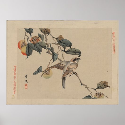 Vogel op Persimmon-boom - Japanse Vintage Poster (Voorkant)