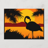 Vogel op Sunset briefkaart (Voorkant)