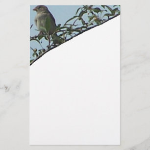 vogel op tak briefpapier