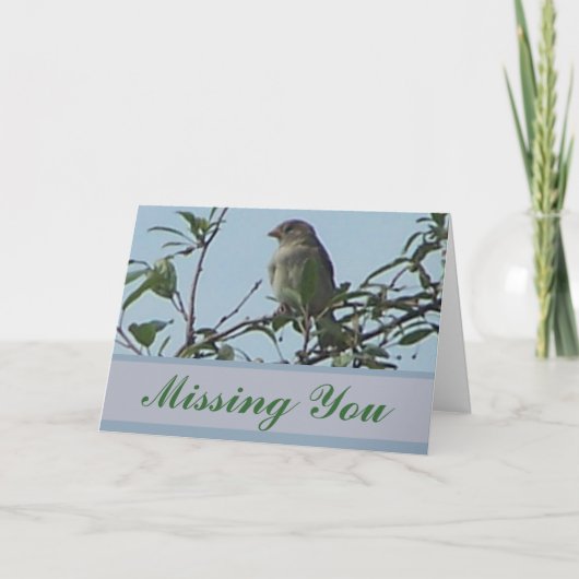 vogel op tak kaart (Voorkant)