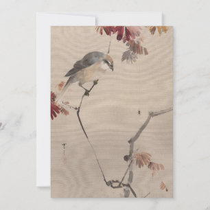 Vogel op tak kijken Spider   Watanabe Seitei