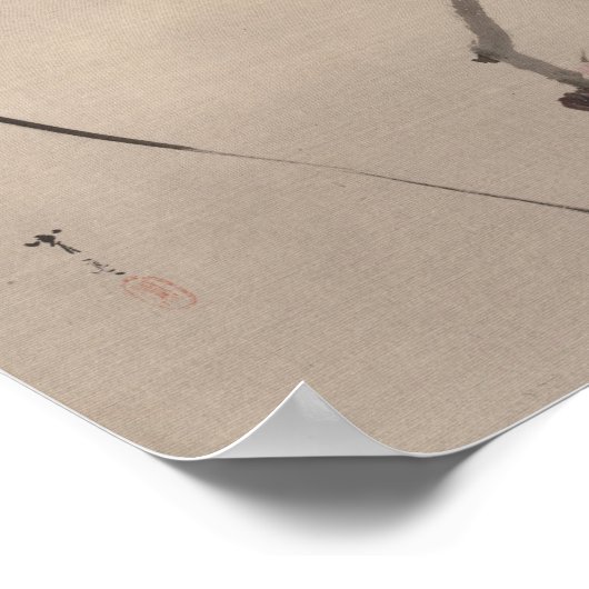 Vogel op tak kijken Spider | Watanabe Seitei Poster (Hoek)