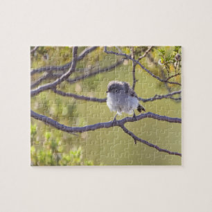 Vogel op Twig (Bushtit) Puzzel