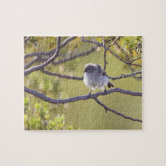 Vogel op Twig (Bushtit) Puzzel (Horizontaal)