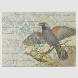  vogel op vertakking met het Schrijven ontkoppelin Tissuepapier