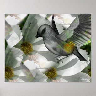 Vogel op White Cosmos Fantasy Art Poster
