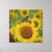 Vogel op Zonnebloem - Natuur Fotografie Print (Voorkant)