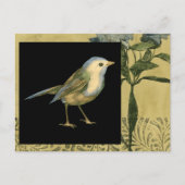Vogel op zwarte en  achtergrond briefkaart (Voorkant)