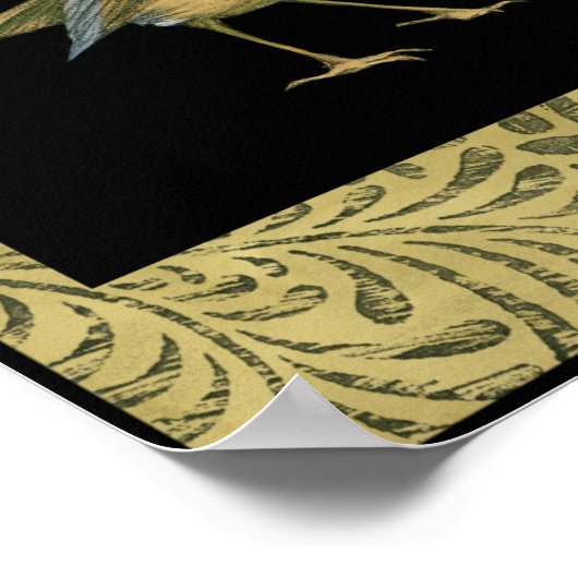 Vogel op zwarte en  achtergrond poster (Hoek)