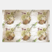 Vogel Oude Decoupage Victoriaans Antiek Inpakpapier Vel (Voorkant 3)