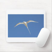 Vogel Paille en Queue Maurice Muismat (Met muis)