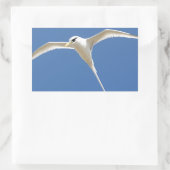 Vogel Paille en Queue Maurice Rechthoekige Sticker (Tas)