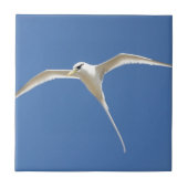 Vogel Paille en Queue Maurice Tegeltje (Voorkant)