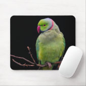 Vogel, papegaai, parkiet muismat (Met muis)