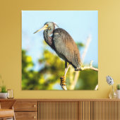 Vogel Perfect 35,70 x 37 opgespannen canvasprint Canvas Afdruk (Insitu (Woonkamer))
