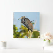 Vogel Perfecte Acryl Wandklok (Huis)