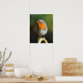 vogel poster (Keuken)