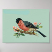 vogel poster (Voorkant)