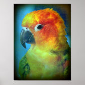  vogel poster (Voorkant)