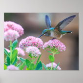 vogel poster (Voorkant)