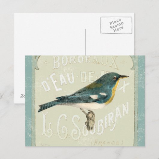 vogel rechts briefkaart (Voorkant / Achterkant)