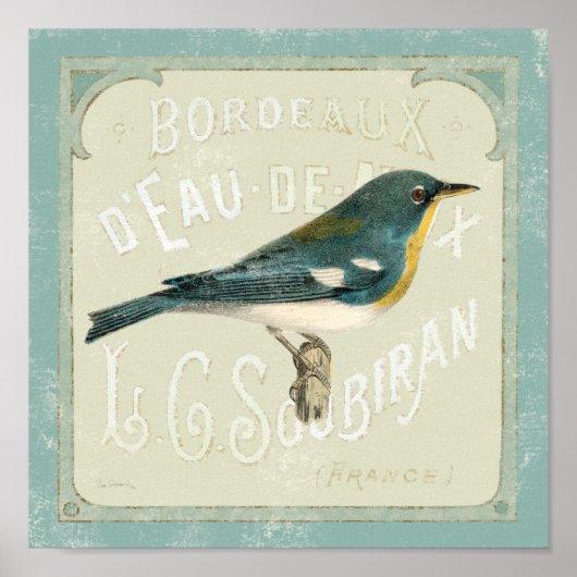 vogel rechts poster (Voorkant)