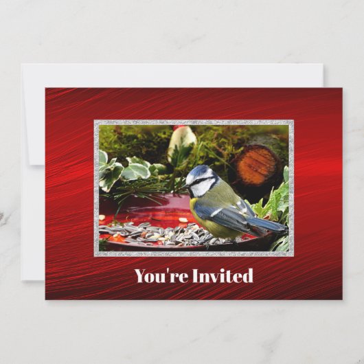  vogel rode feeder dennen foto verjaardag kaart (Voorkant)