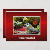  vogel rode feeder dennen foto verjaardag kaart (Voorkant / Achterkant)