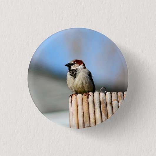 vogel ronde button 3,2 cm (Voorkant)