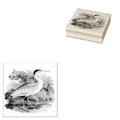  vogel rubberstempel (Gestempeld)