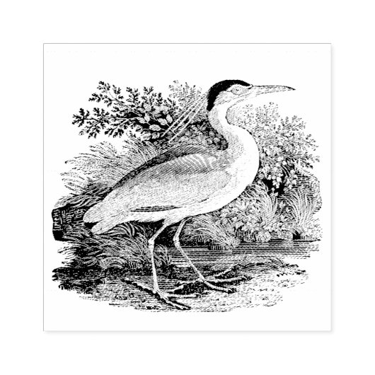 vogel rubberstempel (Afrduk)