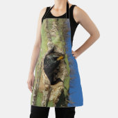 Vogel Saguaro Cactus Starling Foto Zuidwest Schort (Insitu)