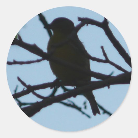 vogel,silhouet ronde sticker (Voorkant)