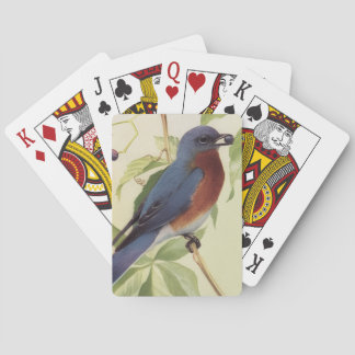 Vogel Speelkaarten
