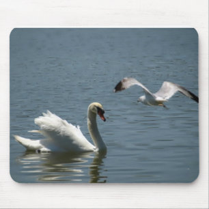Vogel speelt met zwaan muismat