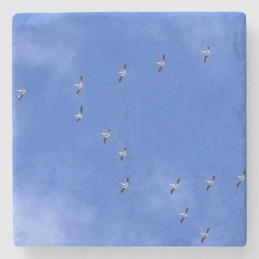 Vogel Stenen Onderzetter (Voorkant)