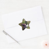 vogel ster sticker (Envelop)