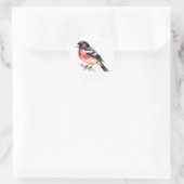Vogel Stickers Roos-breasted Grosbeak (Tas)