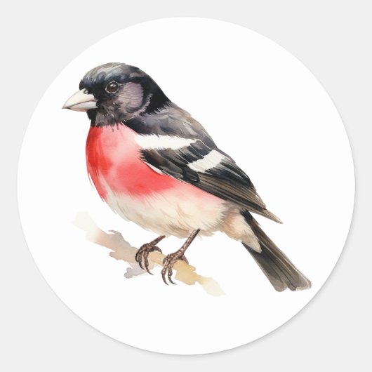 Vogel Stickers Roos-breasted Grosbeak (Voorkant)