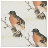  vogel stof (Close Up)