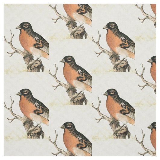  vogel stof (Swatch)