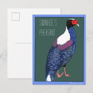 Vogel -- Swinhoe's Fazant Briefkaart