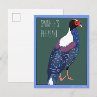 Vogel -- Swinhoe's Fazant Briefkaart