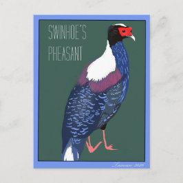 Vogel -- Swinhoe's Fazant Briefkaart