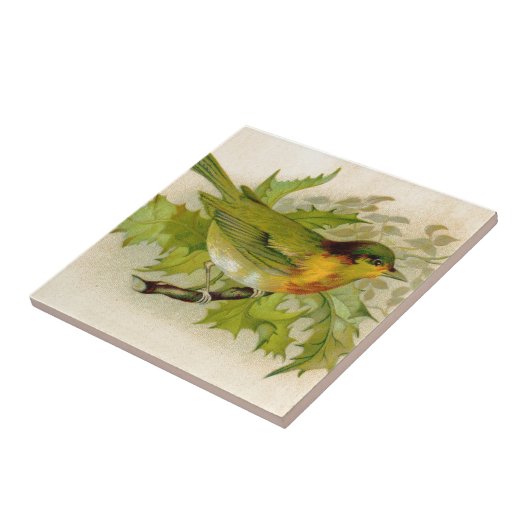  vogel tegeltje (Zijkant)